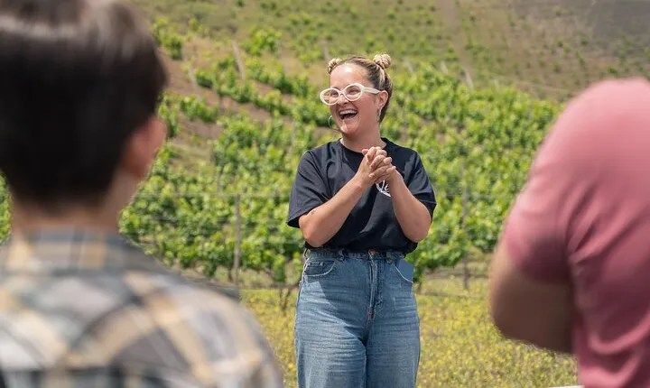 Canarian Wine Experience at Bodega los Lirios