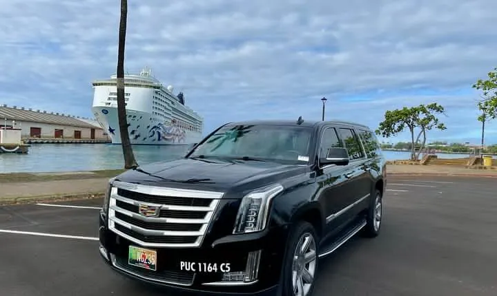 Honolulu Harbor Cruise Terminal Transfer by Luxury Vehicle