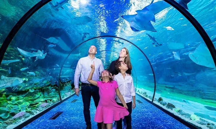 Tickets to The National Aquarium Abu Dhabi