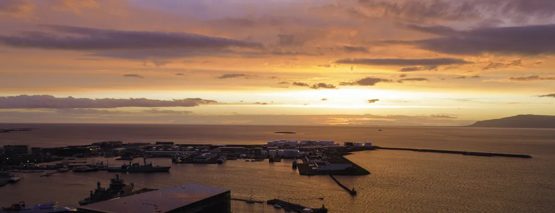 Midnight sun and whale watching boat tour