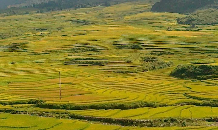 Sapa private tour 2 days 1 night