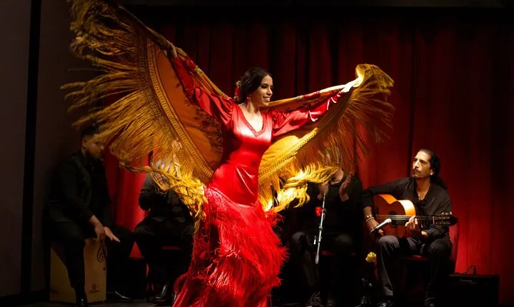 Flamenco Casa Sors & Guitar Museum with Optional Drink or Dinner