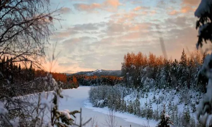 Rovaniemi: Winter Wonderland Vikaköngäs Hiking Tour & BBQ