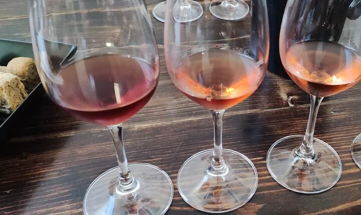 3-Hour Shared Greek Wine Tasting 