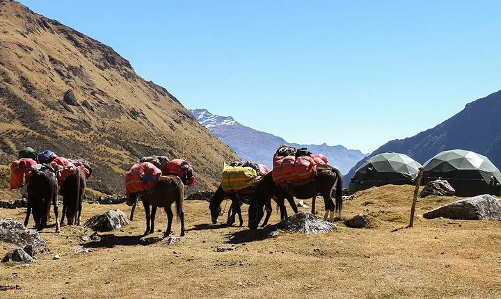 Salkantay Trek Private Service