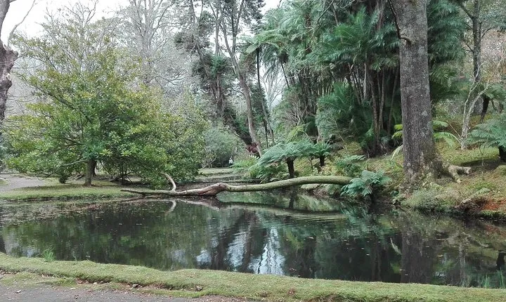Furnas Lake Hotsprings and Gardens Van Tour