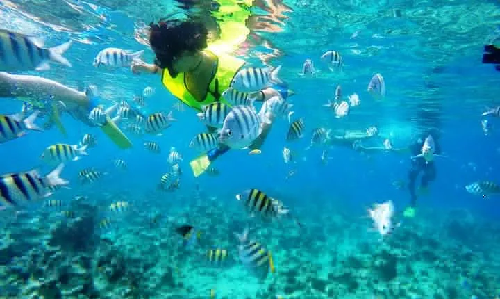 Puerto Plata Shore Excursion, Snorkeling tour & Sosua Beach Day