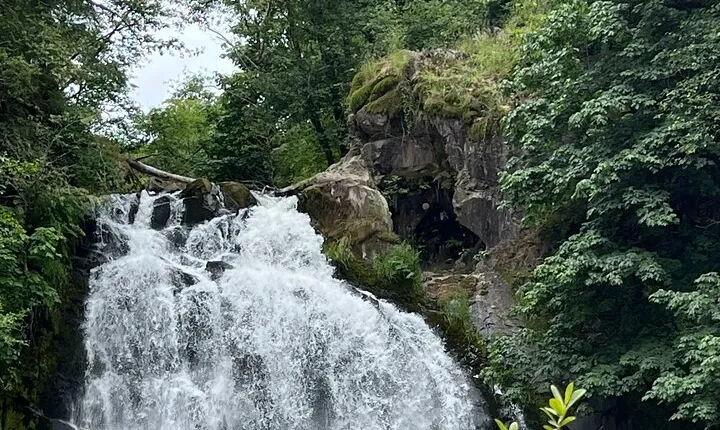 Tour of Fort Clatsop, Youngs River Falls & Warrenton Countryside