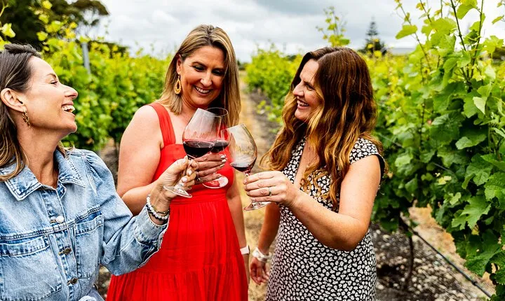 Hawkes Bay Wine & Local Producers Tour | Award Winning | 6 hours