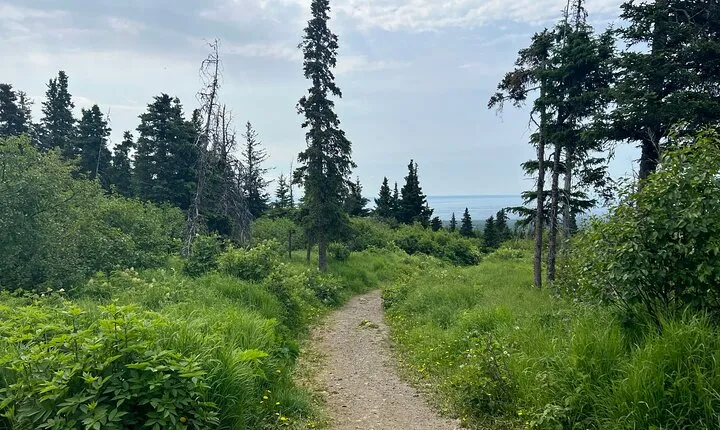 Chugach State Park Nature Walk