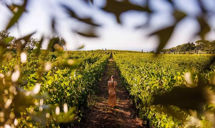 From Rome to the Castles: Private 3-Hour Wine Tasting Tour