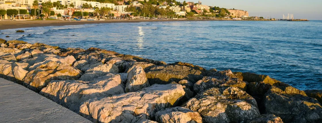 Guided tour of Malaga’s fishing scene with cooking workshop