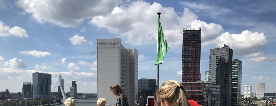 Private Markthal tour and Het Witte Huis rooftop visit