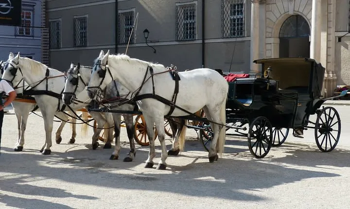 Private 2-Hour walking tour of Salzburg with a local guide