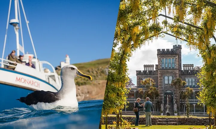 Dunedin Castle to Cruise Tour