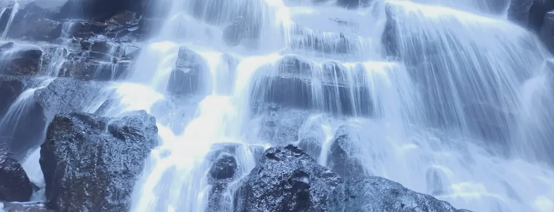 Trekking and Tegallalang Rice Terace Field Including Waterfall Ubud Tour