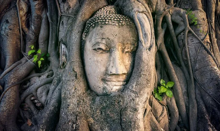 Private Ayutthaya Temples Tour - One day trip
