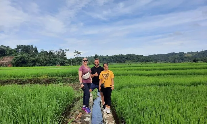Full Day Cultural Bogor Adventure in Waterfall and Rice field