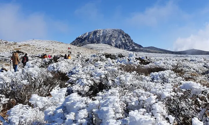 Jeju WEST&SOUTH One Day Tour with MT.halla & UNESCO
