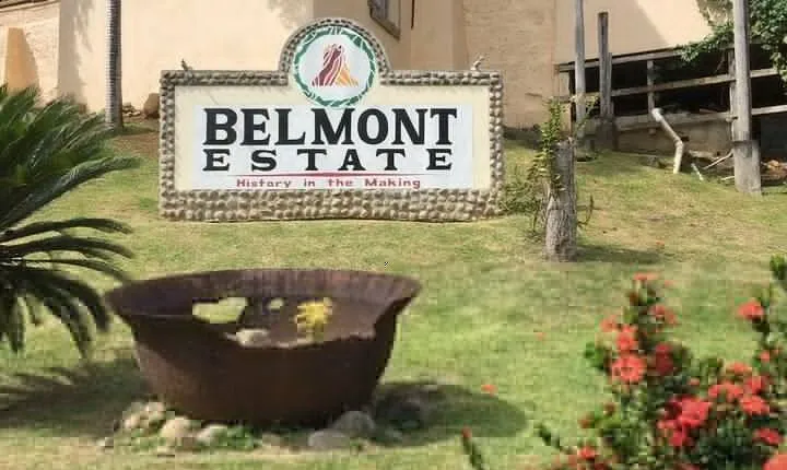 Full-Day Tour: Belmont Estate, Rum Distillery, Grand Etang