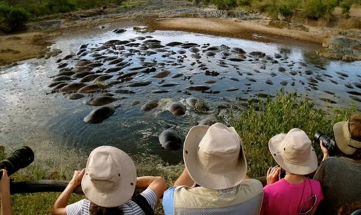 5 Days Classic Safari to Lake Manyara, Ngorongoro and Serengeti