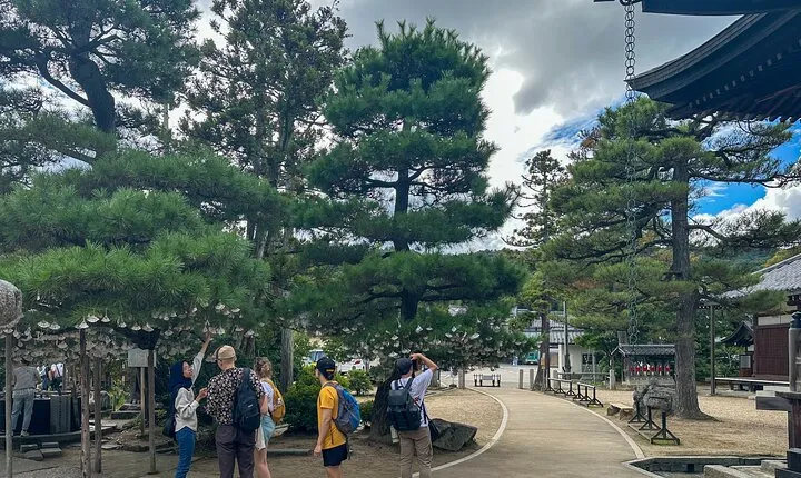 All-Inclusive Kyoto Day Tour: Amanohashidate, Miyama or Ohara