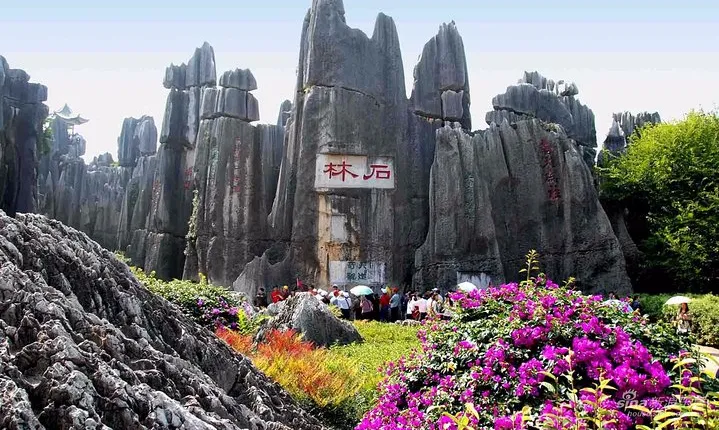 Private Tour of Stone Forest Geological Park in Kunming