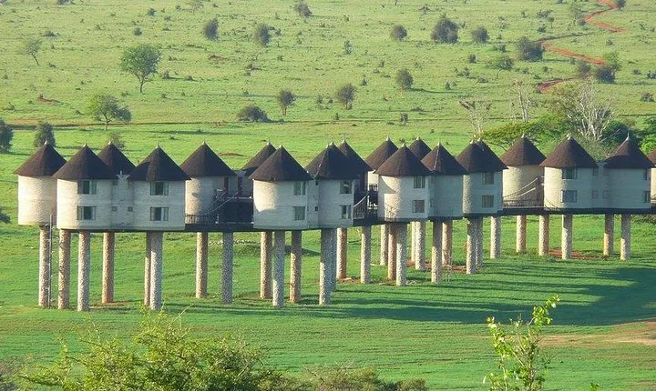 3 days safari Tsavo East and Taita hills (Saltlick lodge)