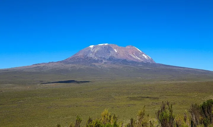 Full Day Mt Kilimanjaro to Shira Plateau Hiking Tour