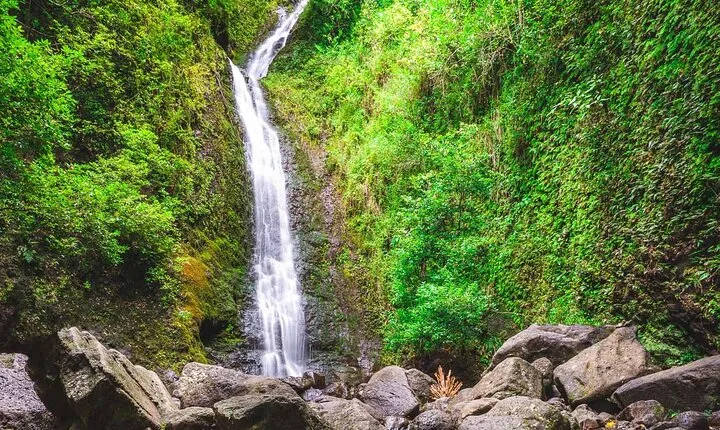 Hike Trail to Waterfall & Nature Walk