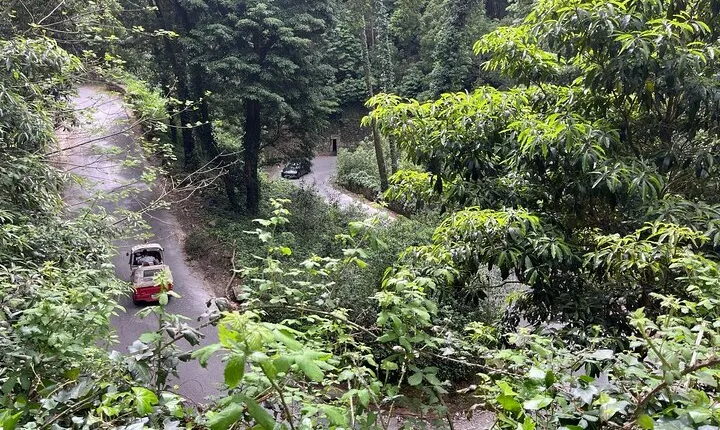 Scenic hiking tour in Sintra