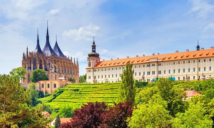 Private Day Trip to the Medieval Town of Kutna Hora