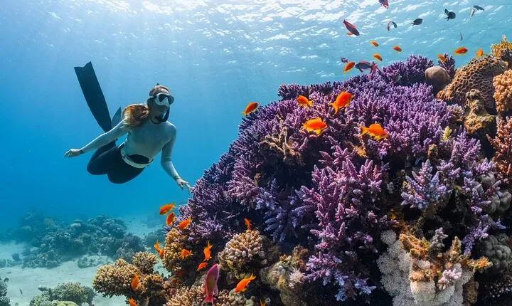 Tulum Jaguar Park Full-Day: Ruins, Park & Reef Snorkeling