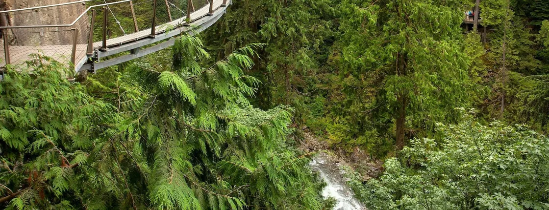 Grouse Mountain and Capilano Suspension Bridge Park tour
