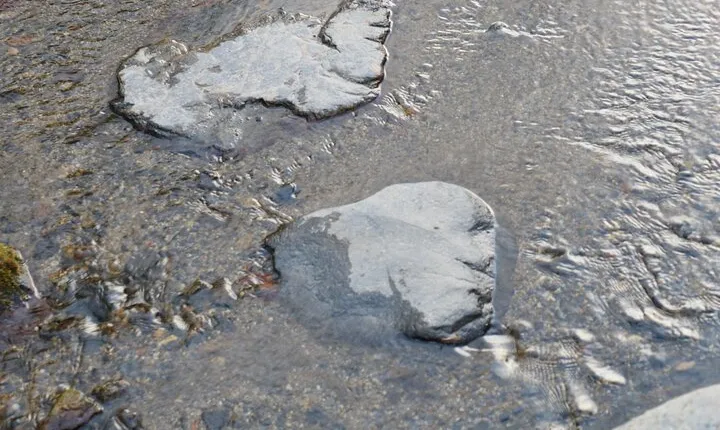 Kyoto Spiritual Conversations & Mindful Encounters PRIVATE Tour