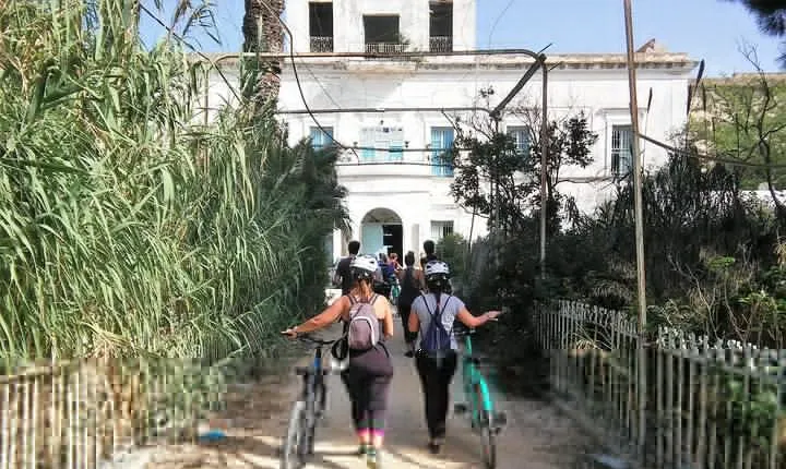 Self guided bike tour of Carthage archeological site
