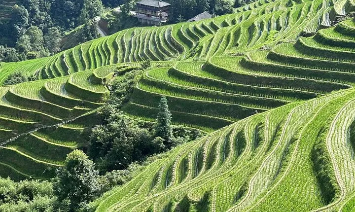 1-Day Longji Rice Terraces Tour from Guilin airport/train station