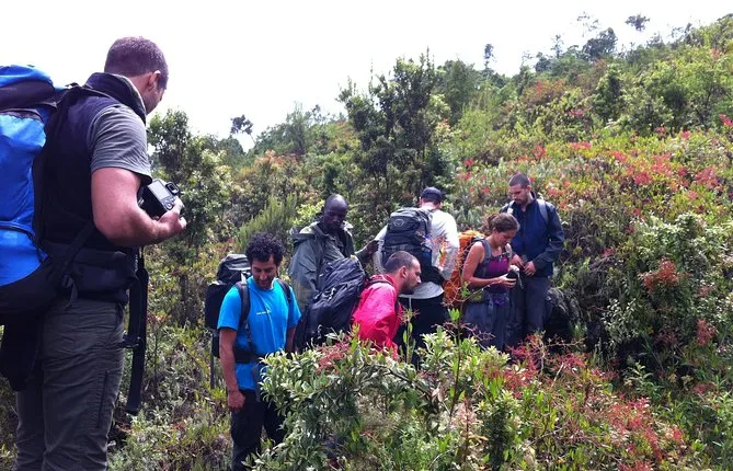 Nyiragongo volcano hike