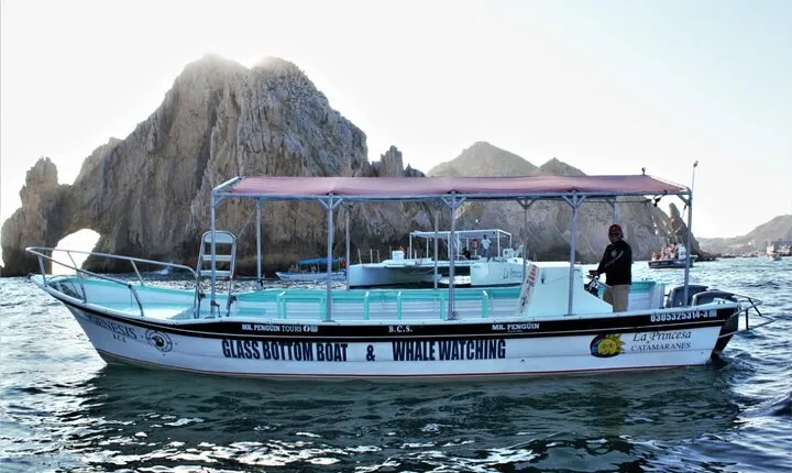 Glass Bottom Boat Sightseeing Tour in Cabo San Lucas