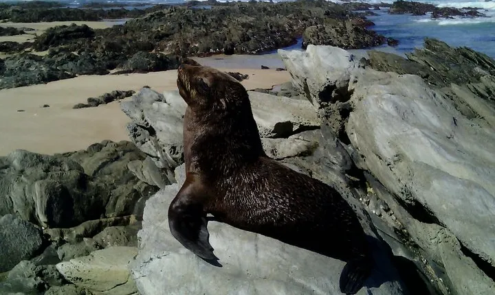 Guided Marine Walk: - Sardinia Bay (Marine Protected Area) - 3 hours