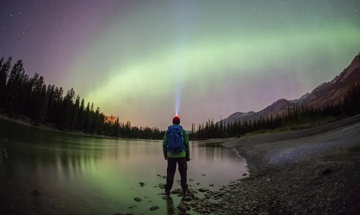 Canmore: Stargazing and Nature by Nightfall Walking Tour - 2hr