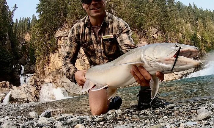 Half Day Walk&Wade (Fly-Fishing / Spin Casting from shore)