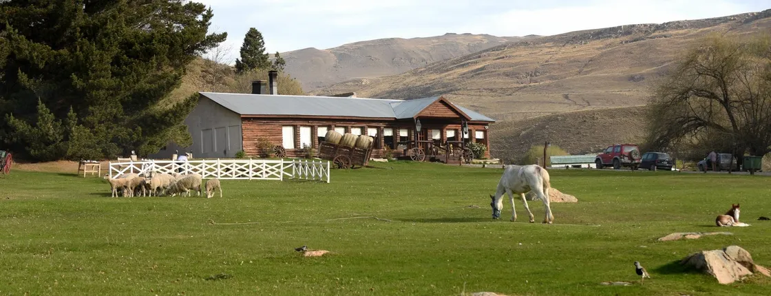 Estancia 25 de Mayo Tour with Dinner and Transfer