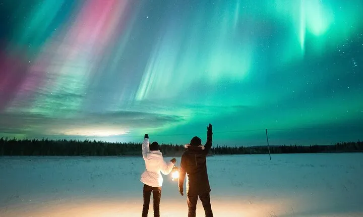 Rovaniemi: Northern Lights Group Tour - Guaranteed View