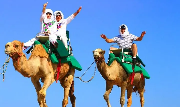 Cabo Camel and Safari Ride