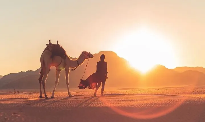 Explore Wadi Rum Desert with Camel Ride Experience with Stay