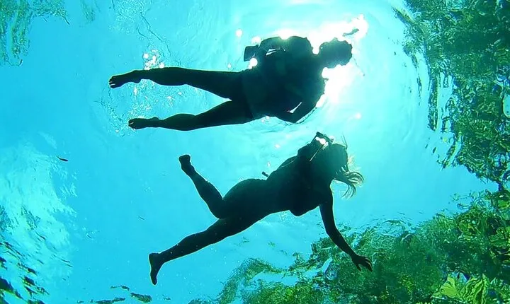 VIP Cenotes Private Tour (half-day)