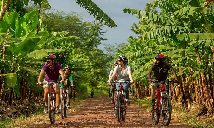 1 Day: Cycling Tour to Arusha National Park