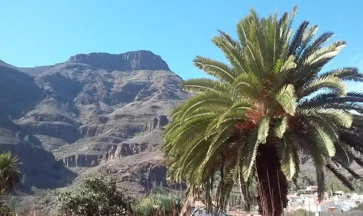 Full Day Across the Island Tour from Las Palmas