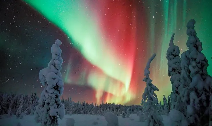 Auroras - Northern Lights Tours by Aurora Experts - Rovaniemi
